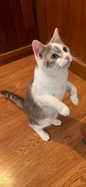 Donate to The Catina - Image 4