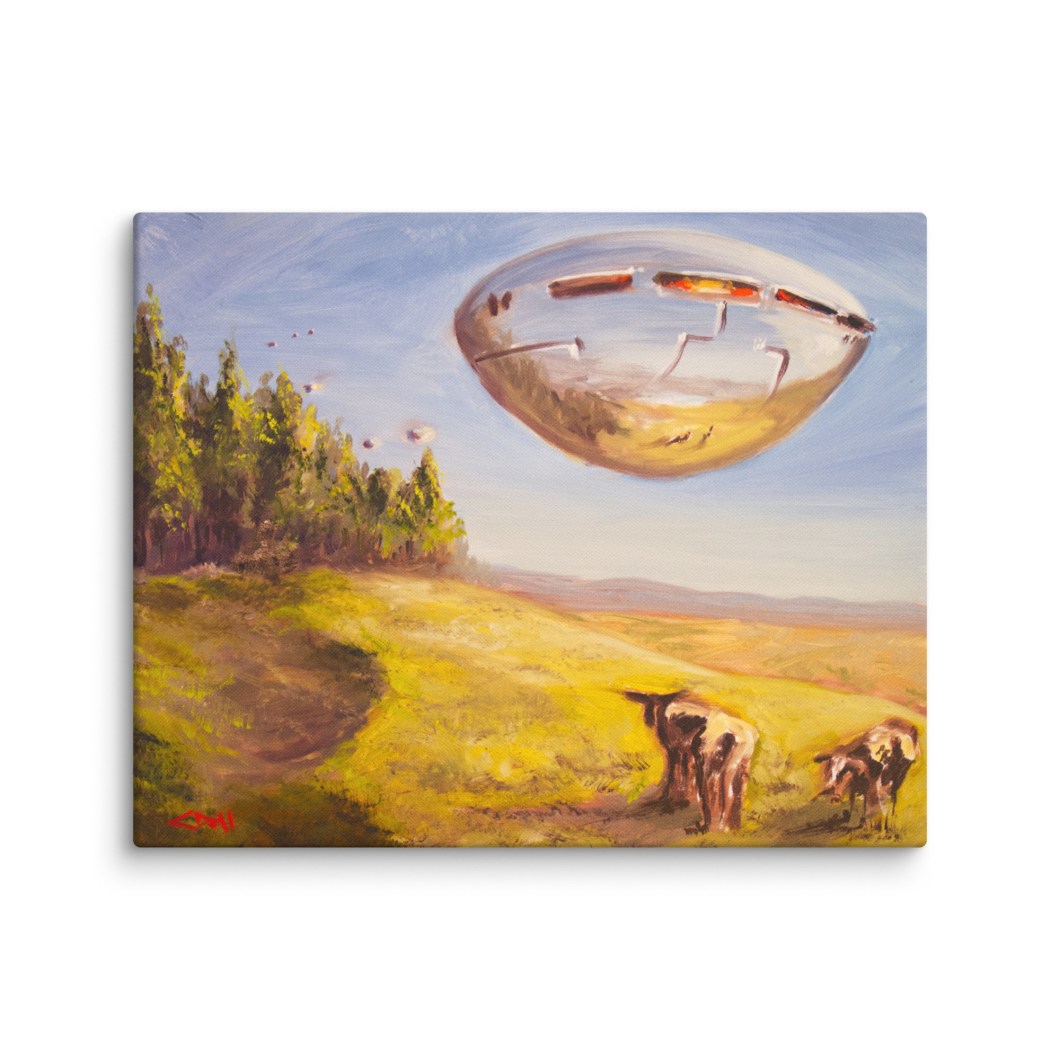 Cow Encounters - Canvas Print