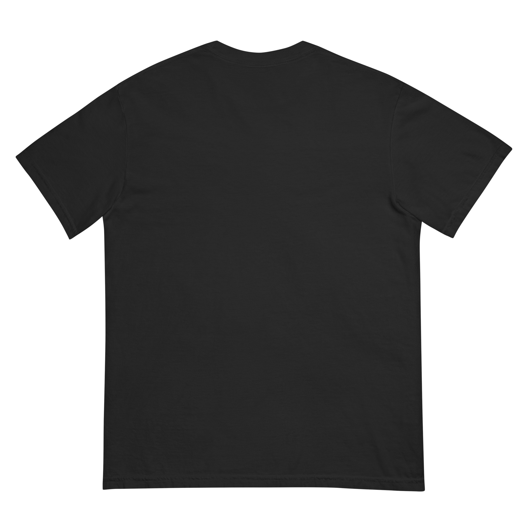 Ad Astra Per Aspera - Unisex garment-dyed heavyweight t-shirt - Image 2